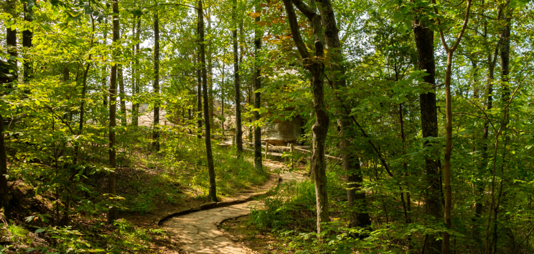 Scenic trail through the lush Muskoka woodlands, one of the 9 best all-season hikes recommended by Jayne's Luxury Rentals.