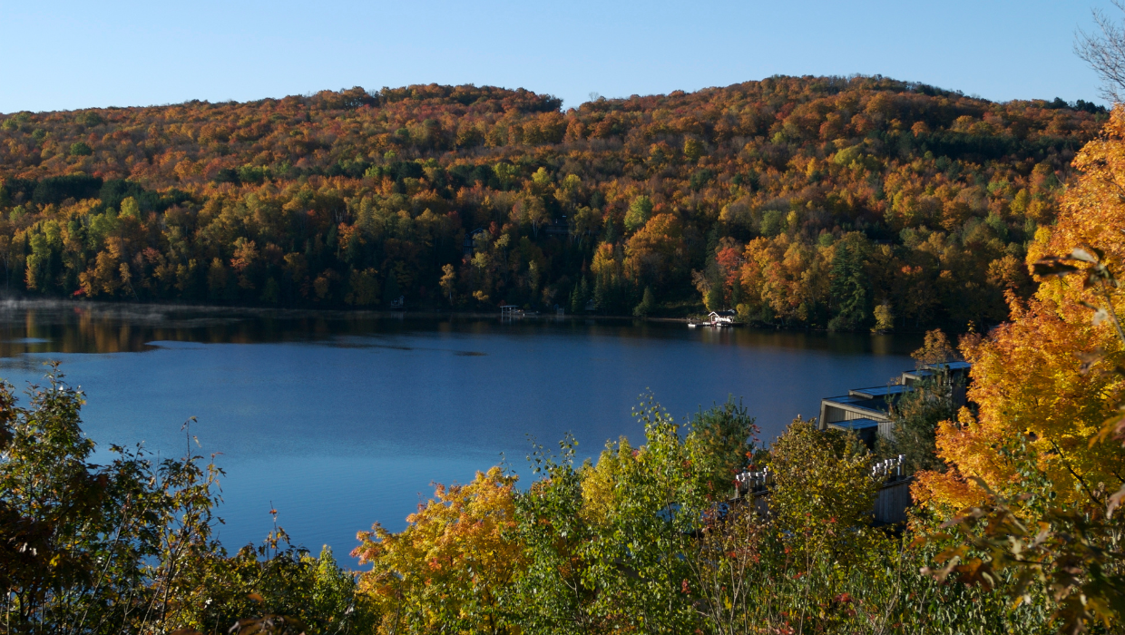 Autumnal view of a serene lake surrounded by a forest with fall foliage at Jayne's Luxury Rentals