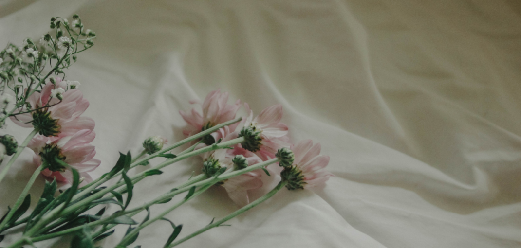 Elegant Simplicity for Romance Escape - Jayne's Luxurious Rentals | Soft-focus flowers on a serene fabric backdrop