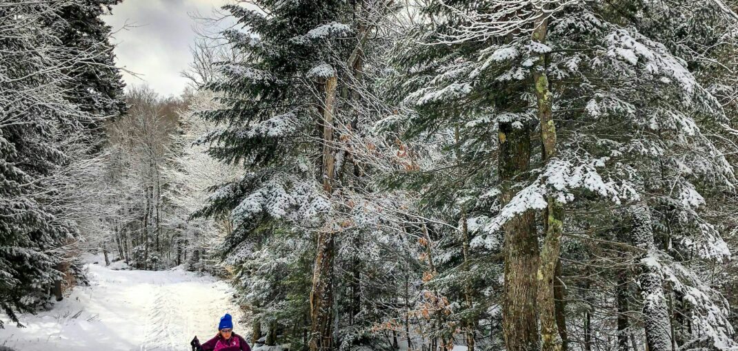 Cross-country skier gliding through a snow-covered forest trail in Muskoka - Winter Sports at Jayne's Luxurious Rentals.