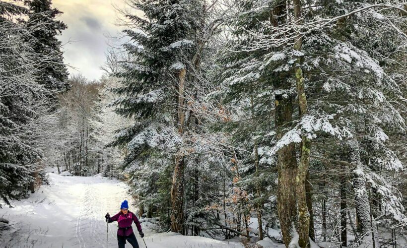 Cross-country skier gliding through a snow-covered forest trail in Muskoka - Winter Sports at Jayne's Luxurious Rentals.